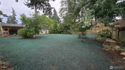 Huge backyard with established perennials.