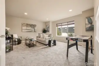 Plenty of space in the upstairs bonus room for all sorts of activities on the new carpet.