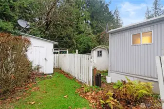 3 sheds in the back yard for all your tools