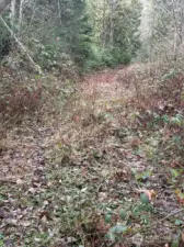 Walk up the driveway for easy viewing