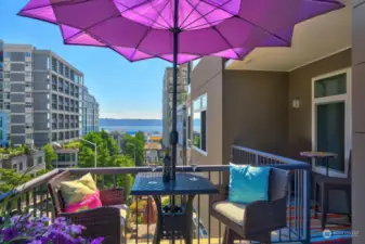 Another view of the terrace west where you can entertain, barbeque, relax and view passing ferries, Sailboats and cruise ships.