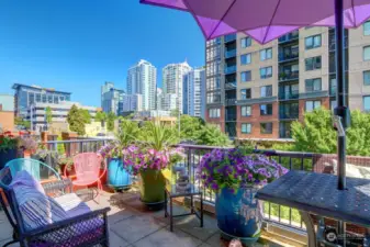 The living room open to the terrace overlooking quiet cobblestone Clay street and to the East has a city view.