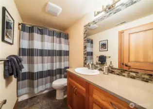 Lower level bathroom