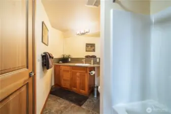 Lower level bathroom