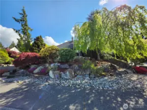 Landscaped for Privacy