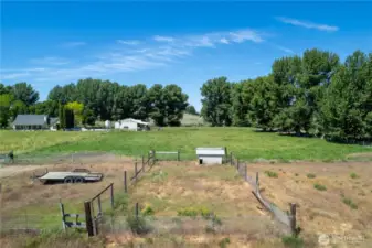 Fenced Animal Area