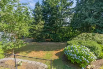 Looking onto the Terraced Back Yard