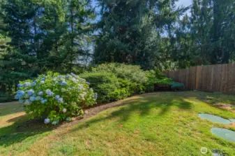 S. Side of Back Yard