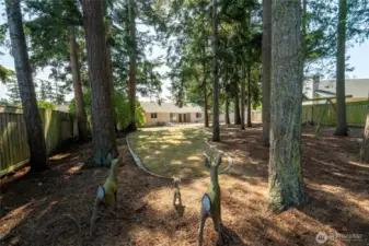 .3 acre lot with fully fenced backyard and mature trees