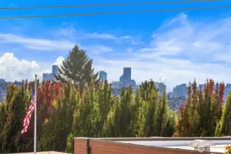 Views from the rooftop deck