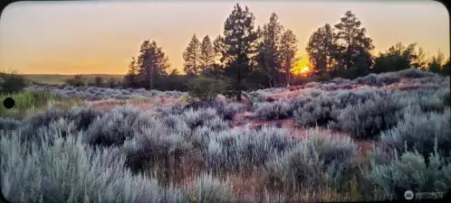 Mostly rolling hills flat trees natural beauty