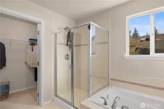The spa-like primary bathroom has a deep soaking tub and separate shower.