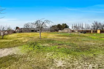 The back yard has plenty of privacy on both sides.