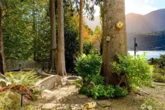 Natural landscaping for easy maintenance