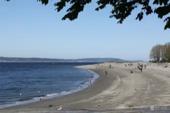 Seconds from Golden Gardens - enjoy a picnic with friends, swimming in the Sound, or engage in volleyball with the locals!
