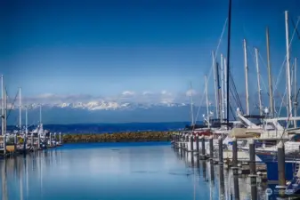 Shilshole Bay Marina offers a place to moor your boat as well as stunning views of the Olympic Mountains!