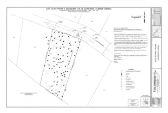 Topo Survey