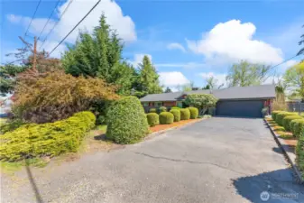Driveway