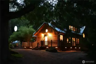 Surrounding lights for visibility along with landscape lighting that highlights the beauty of the surrounding trees.