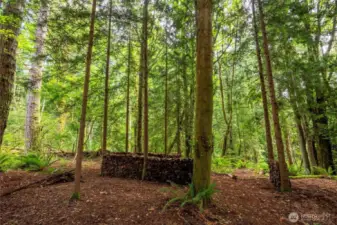 Plenty more nature to appreciate beyond the fence on this 1.9 acre property that leads you down to the creek