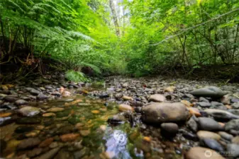 The creek at the bottom of the property
