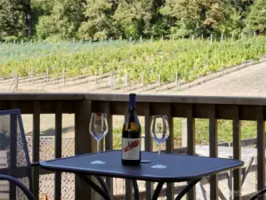 Tasting Room Deck
