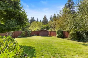 Backyard with apple, peach, and plum trees.