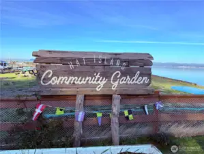 Community Garden