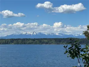 This home & property has an outstanding view of the Olympic Mountain range.