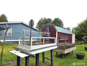 garden area with raised beds and berries