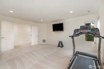 Upstairs bonus room with double doors and lots of windows.