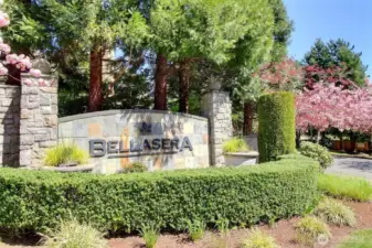 Bellasera is a wonderful Chaffey development of luxury homes.