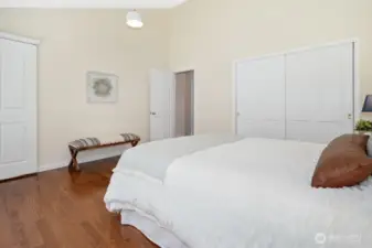 Primary bedroom is both large horizontally AND vertically