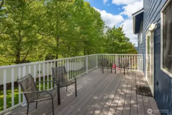 Deck off of the family room.
