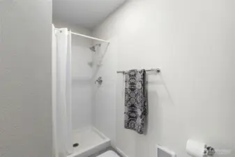 Bathroom on lower level