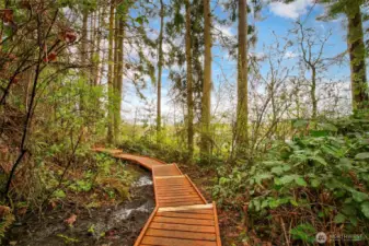 Walking paths