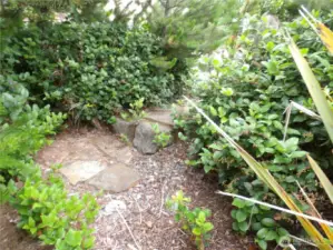 Fun little path onto the property off of I street.