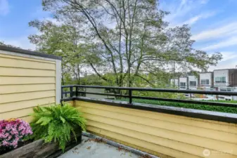 teritorial view from livingroom balcony