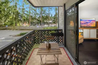 South facing deck over looks private parking area and park