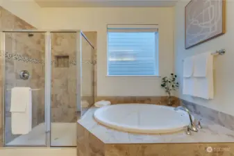 large shower and soaking tub