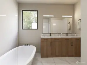 Scheme 3 Rendering (Incorrect bathtub)