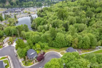 Aerial Shot