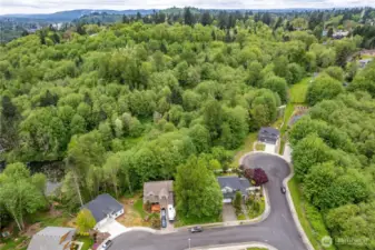 Aerial Shot