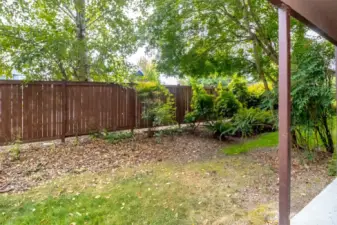 Privacy off your patio
