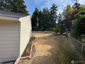 Easts side yard