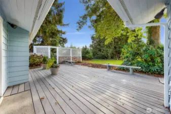 Back Deck with Trex decking
