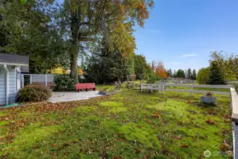 Large backyard
