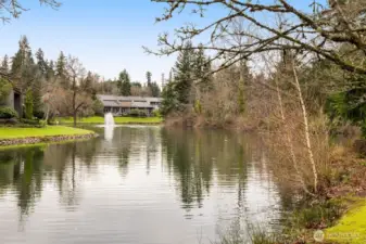 A Natural PNW park setting everywhere you turn at Sixty01. Enjoy long strolls along the pond. Be on the look out for the resident Swans! Winter Vibe.