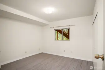 Fifth Bedroom on the lower level