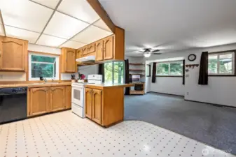 Kitchen and family room